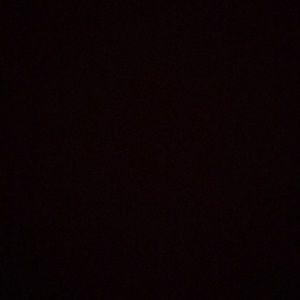 Meet your Posher, Peyton